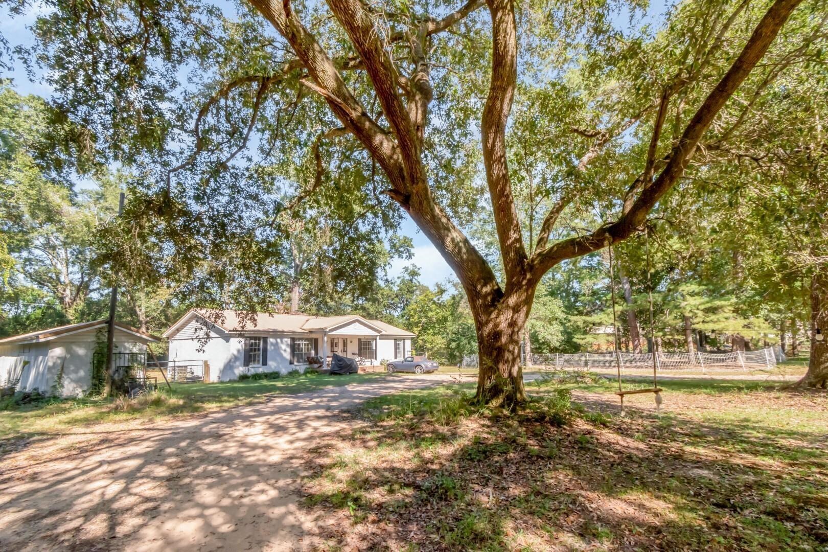 6405 1st Street Wilmer, AL 36587 - Photo 35 of 38 Ranch-style house with dirt driveway and view of wooded area