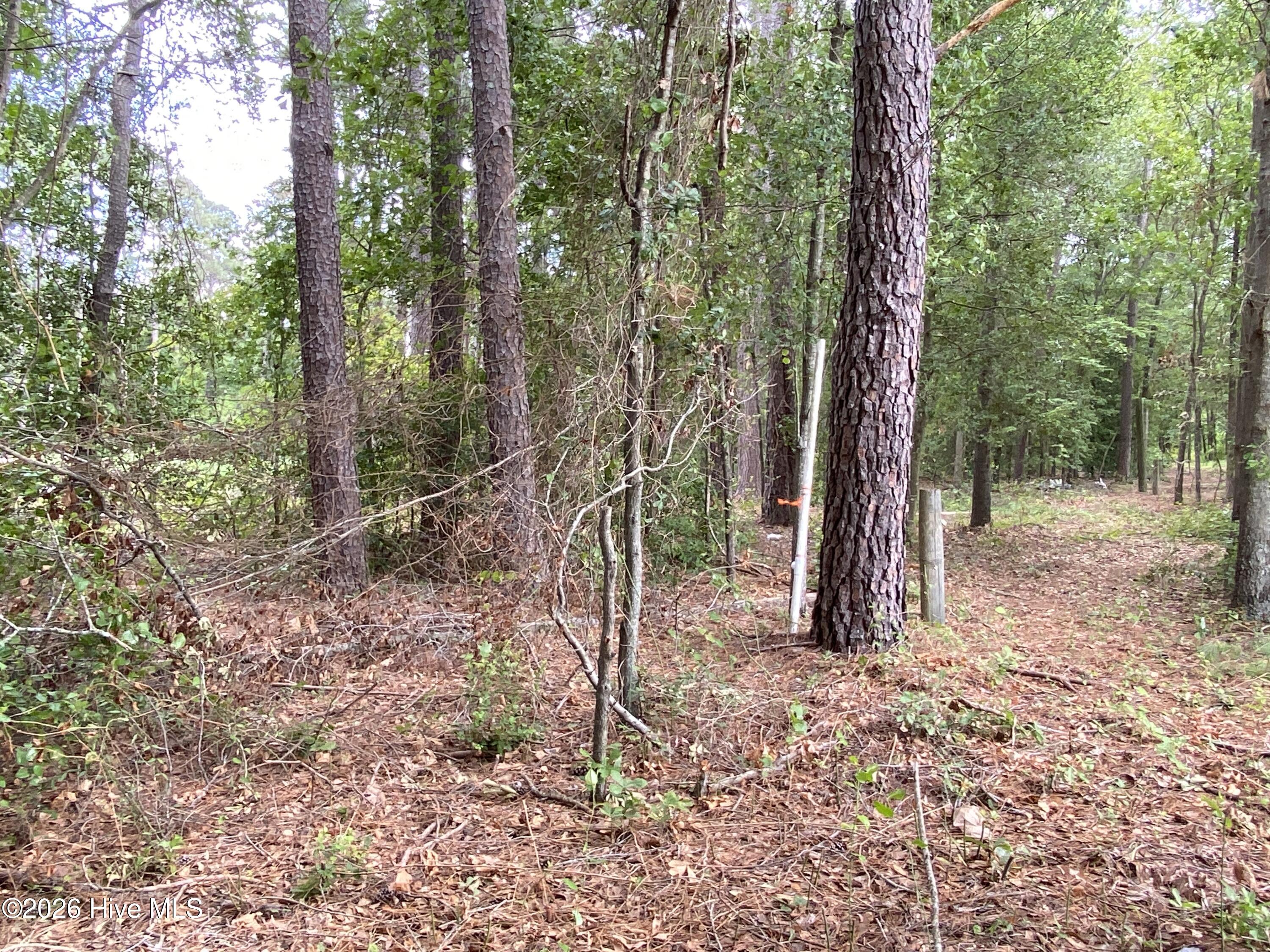 Tbd Hayne Stretch Road Roseboro, NC 28382 - Photo 27 of 31