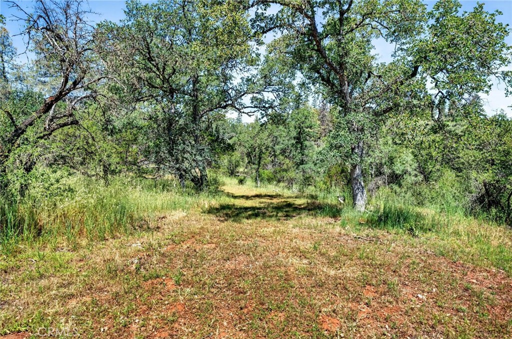 13505 Spruce Grove Road Lower Lake, CA 95457 - Photo 16 of 47