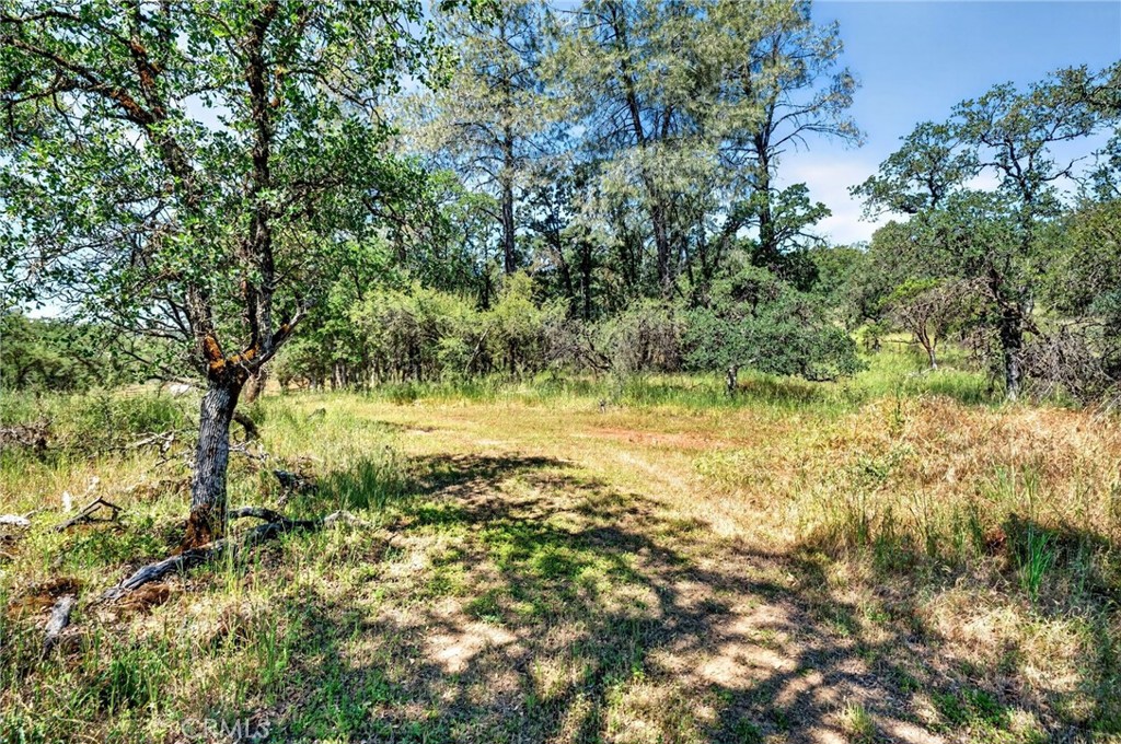 13505 Spruce Grove Road Lower Lake, CA 95457 - Photo 21 of 47