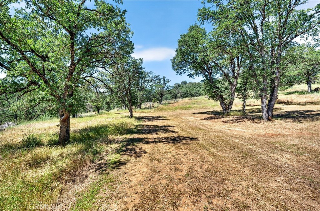 13505 Spruce Grove Road Lower Lake, CA 95457 - Photo 27 of 47