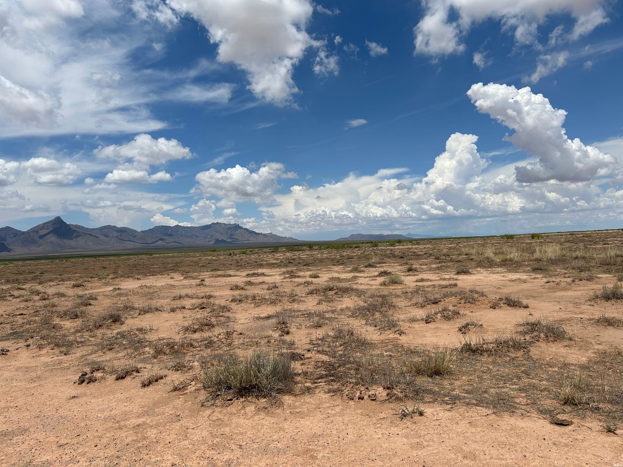 0 Cebada Road Deming, NM 88030 - Photo 7 of 15 Gallery Image 7