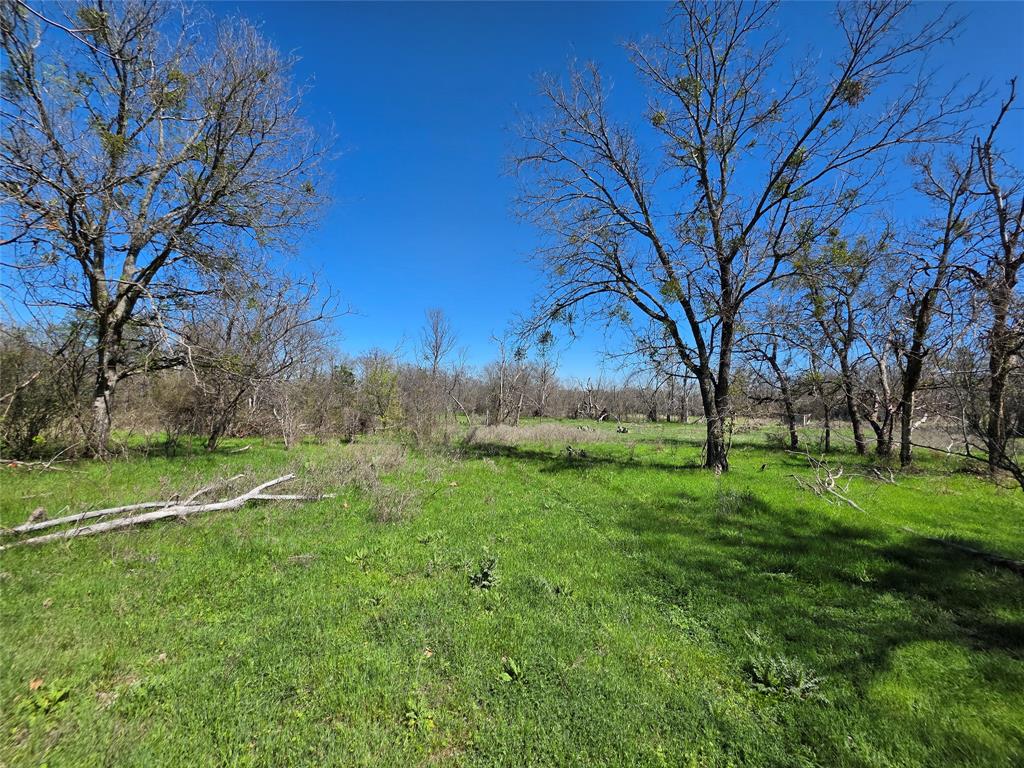 309 Highway 36 Gustine, TX 76455 - Photo 36 of 36 a view of field with large trees