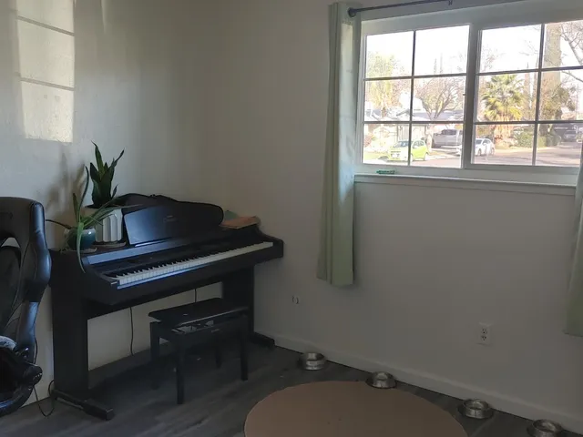 a room with a table and a potted plant