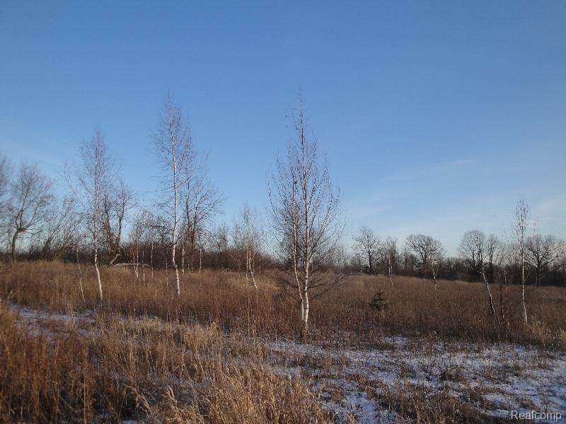 Vac East Leonard Road Leonard, MI 48367 - Photo 7 of 10 E. Leonard - Winter