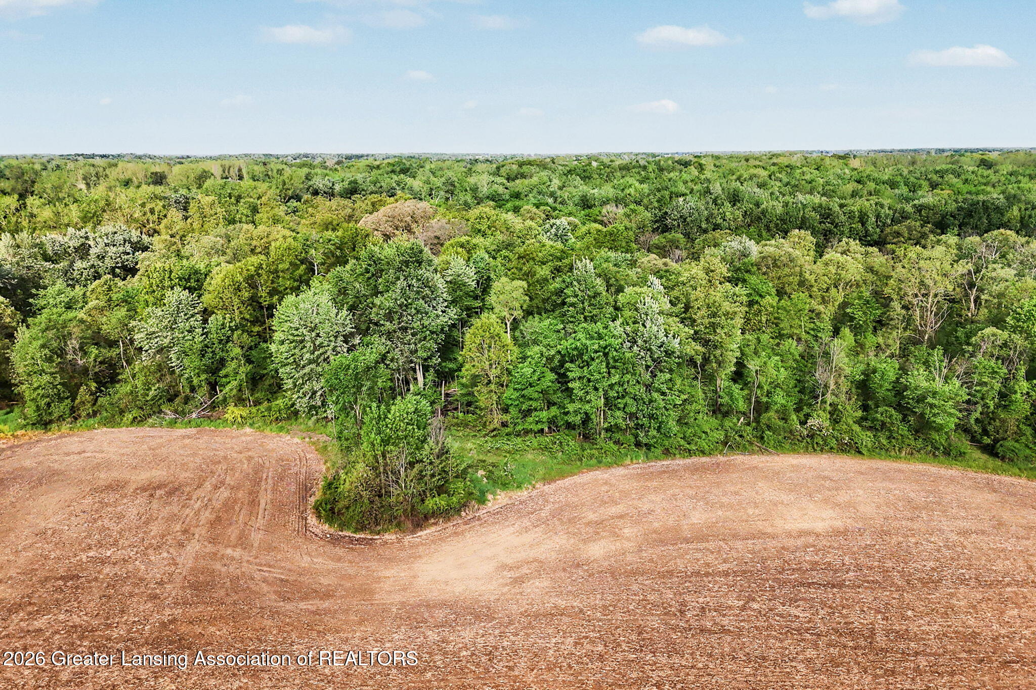 0 North Royston Road Grand Ledge, MI 48837 - Photo 3 of 33 3-web-or-mls-drone14