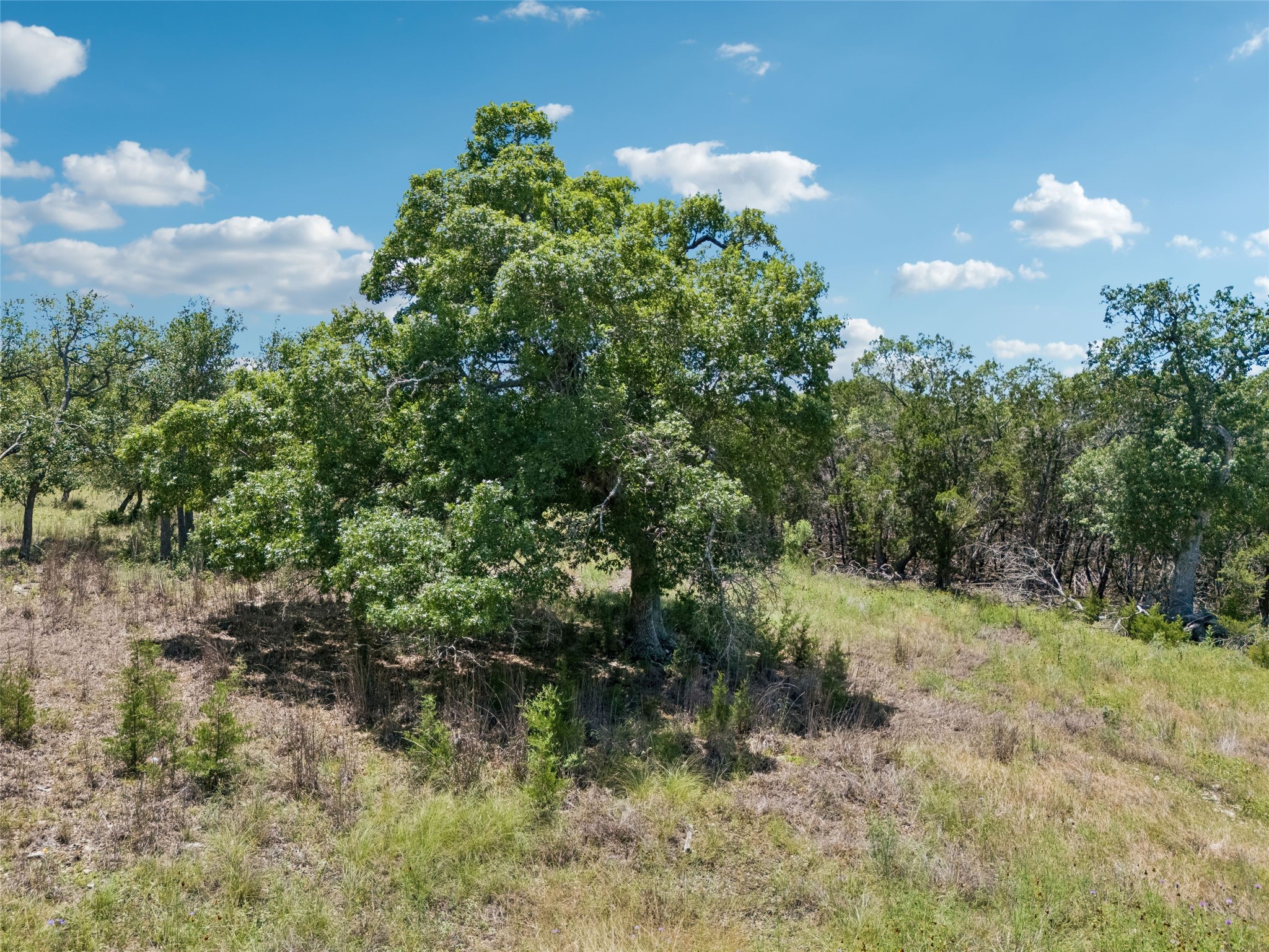 Tbd South Rainbow Ranch Road Wimberley, TX 78676 - Photo 6 of 17