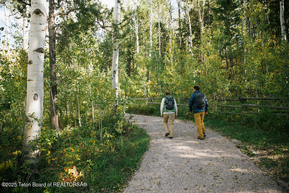 12 Cold Springs Road Victor, ID 83455 - Photo 77 of 77 Walking Trail near Targhee National Fore