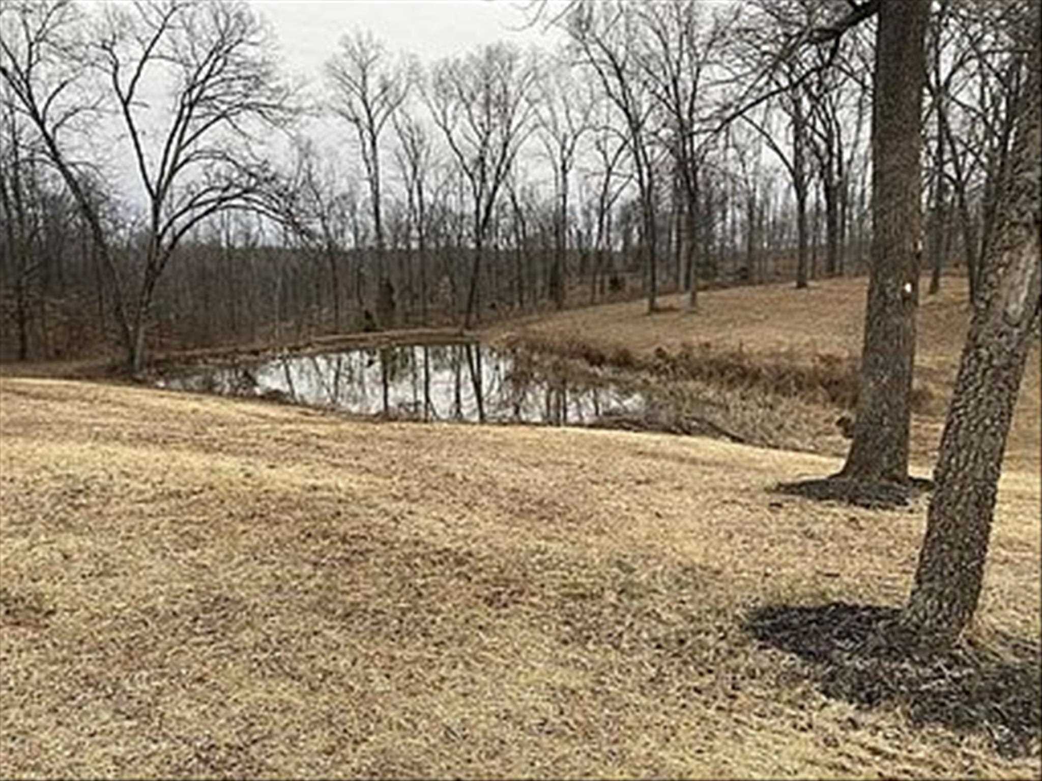 8753 North State Road Gentryville, IN 47537 - Photo 3 of 4 Gallery Image 3