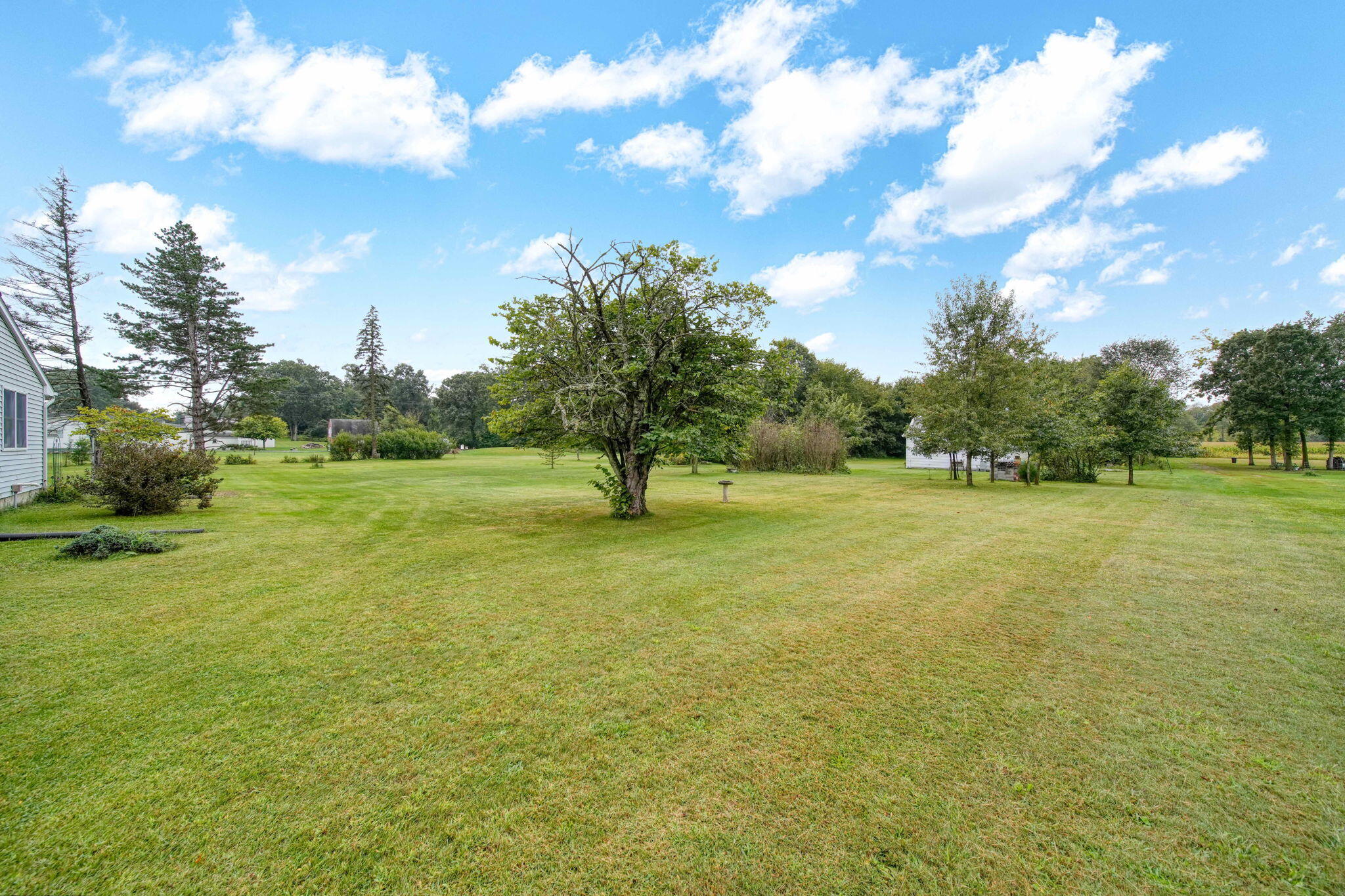14555 29 Mile Road Albion, MI 49224 - Photo 41 of 63 41-web-or-mls-DSC02039_HDR