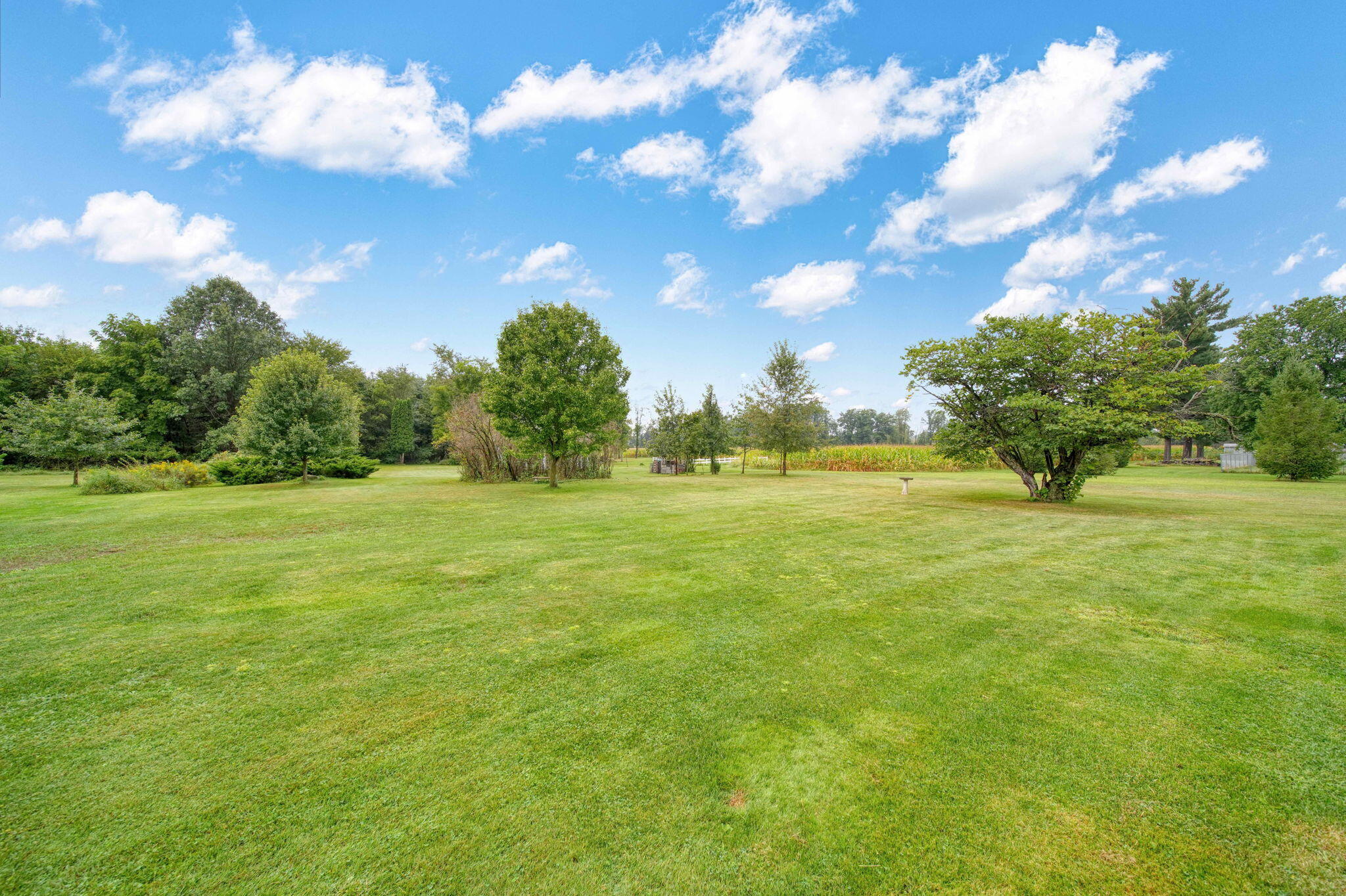 14555 29 Mile Road Albion, MI 49224 - Photo 43 of 63 44-web-or-mls-DSC02054_HDR