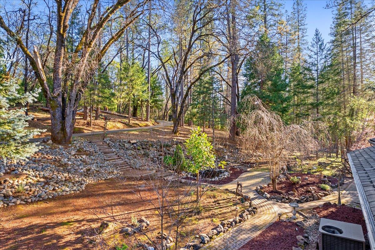 5621 Saw Mill Road Placerville, CA 95667 - Photo 41 of 75 a backyard of a house with lots of green space