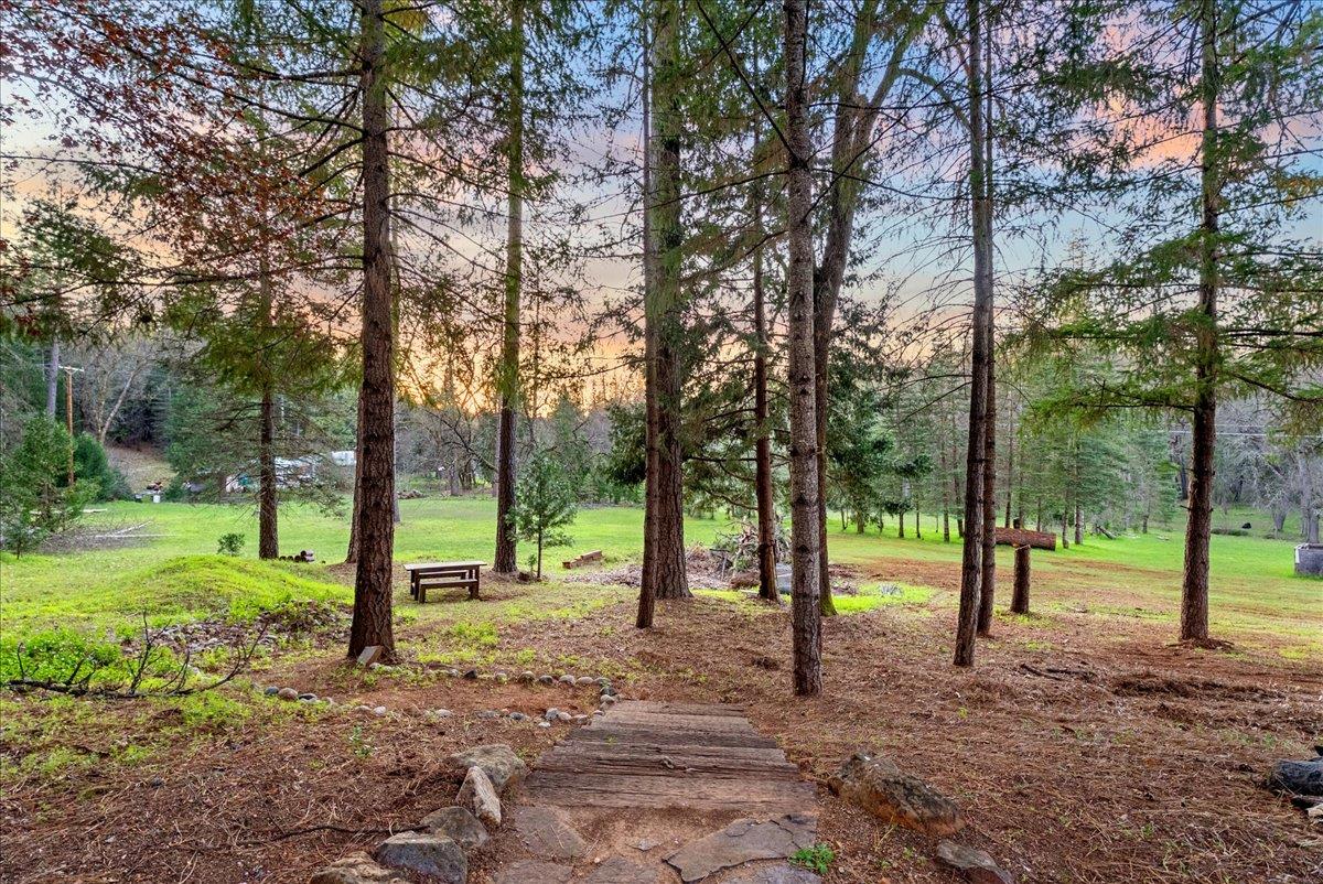 5621 Saw Mill Road Placerville, CA 95667 - Photo 48 of 75 a view of outdoor space with lots of trees