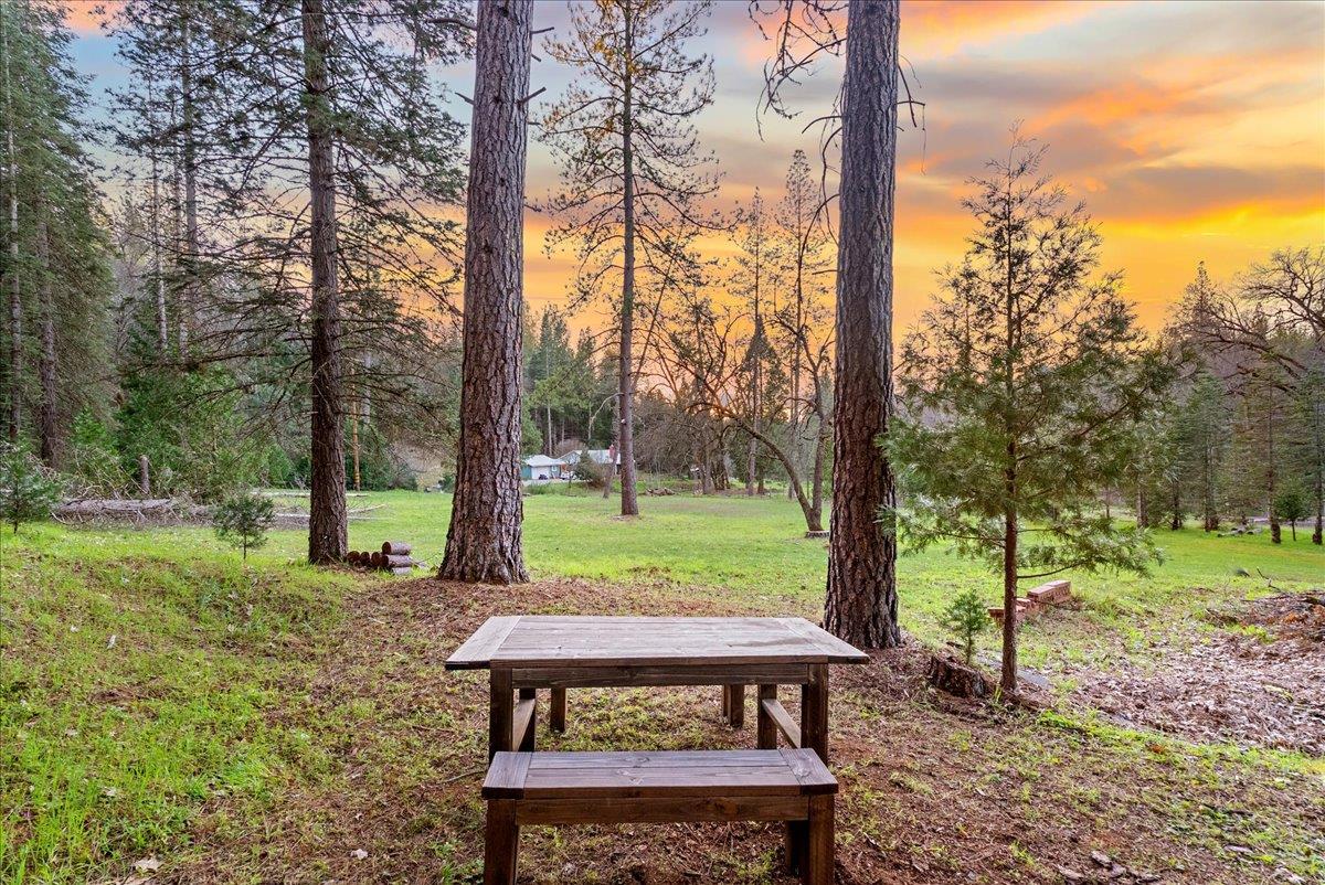 5621 Saw Mill Road Placerville, CA 95667 - Photo 49 of 75