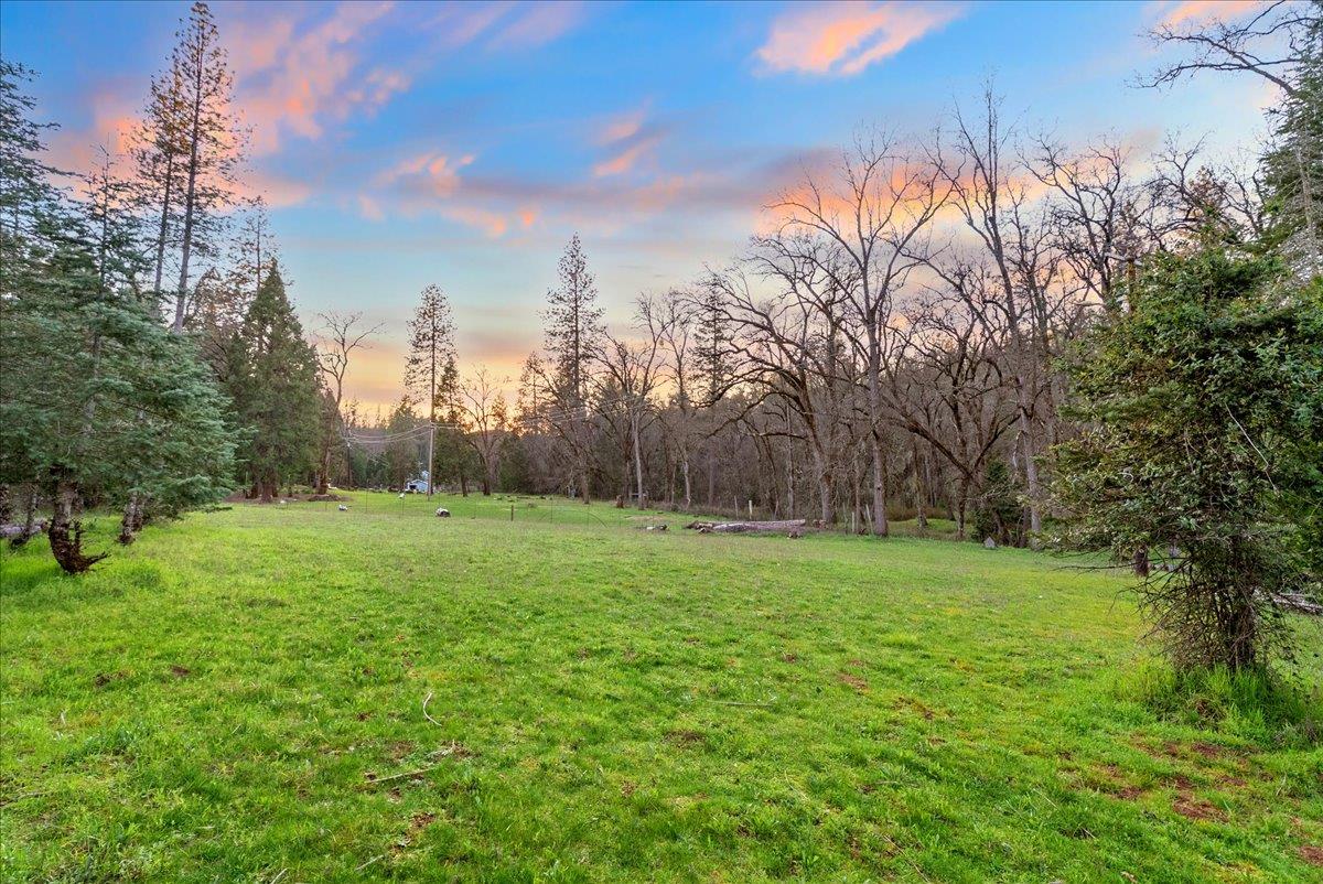 5621 Saw Mill Road Placerville, CA 95667 - Photo 55 of 75 a view of grassy field with trees