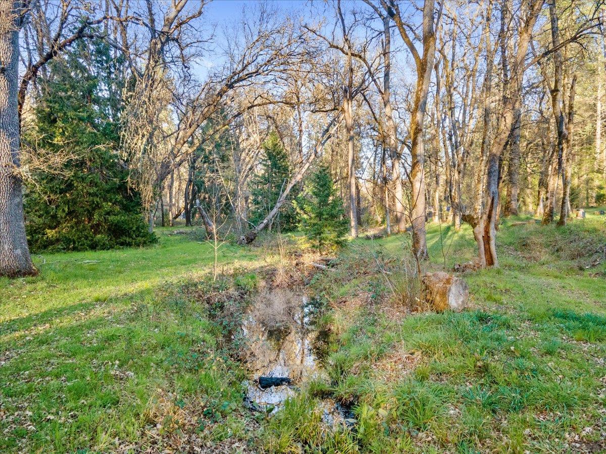 5621 Saw Mill Road Placerville, CA 95667 - Photo 65 of 75 a view of backyard with green space