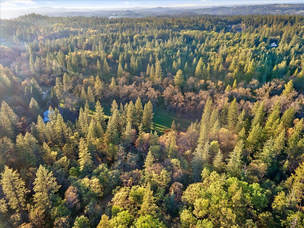 5621 Saw Mill Road Placerville, CA 95667 - Photo 70 of 75