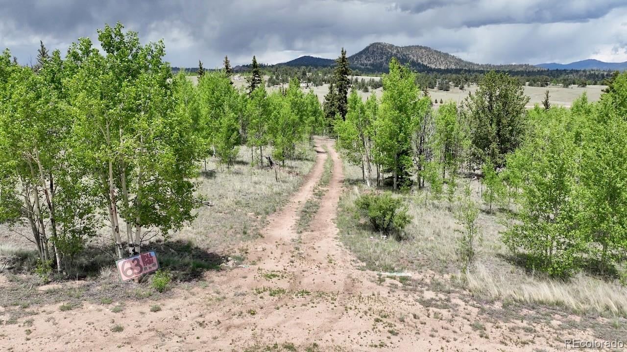 63 Ball Path Como, CO 80432 - Photo 1 of 9 Gallery Image 1