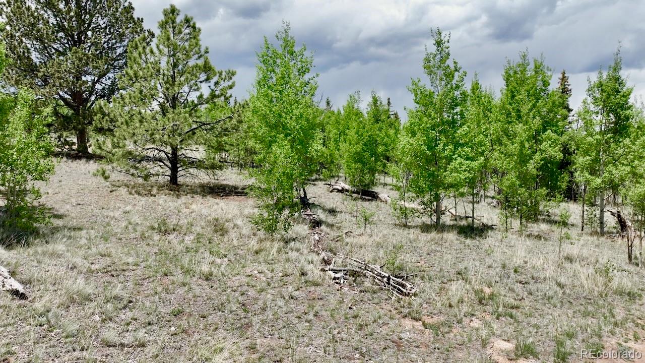 63 Ball Path Como, CO 80432 - Photo 3 of 9 Gallery Image 3