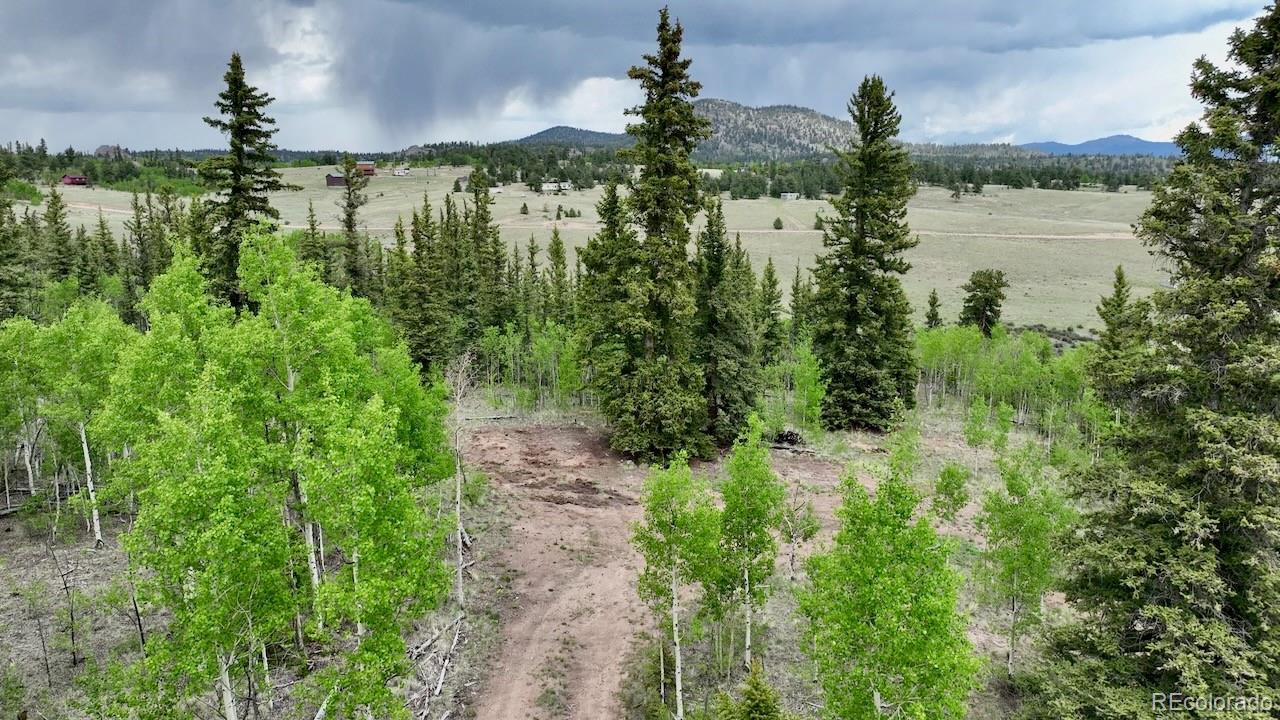 63 Ball Path Como, CO 80432 - Photo 5 of 9 Gallery Image 5