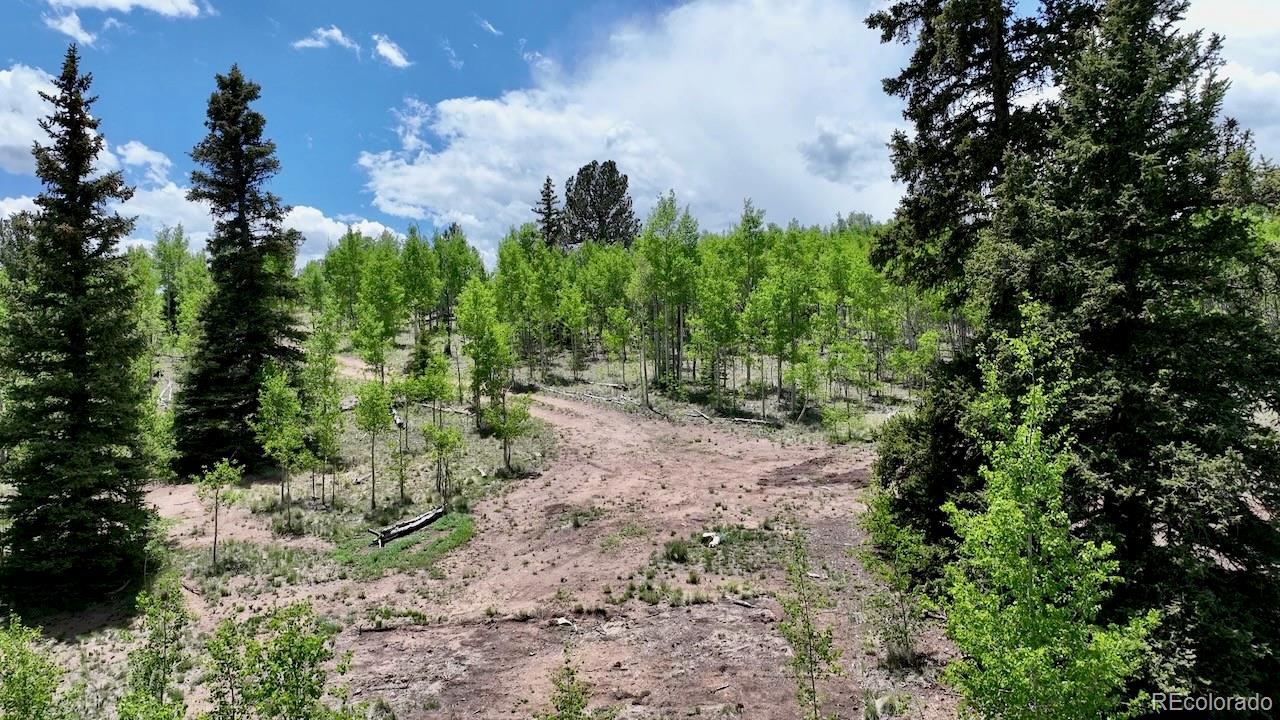 63 Ball Path Como, CO 80432 - Photo 6 of 9 Gallery Image 6
