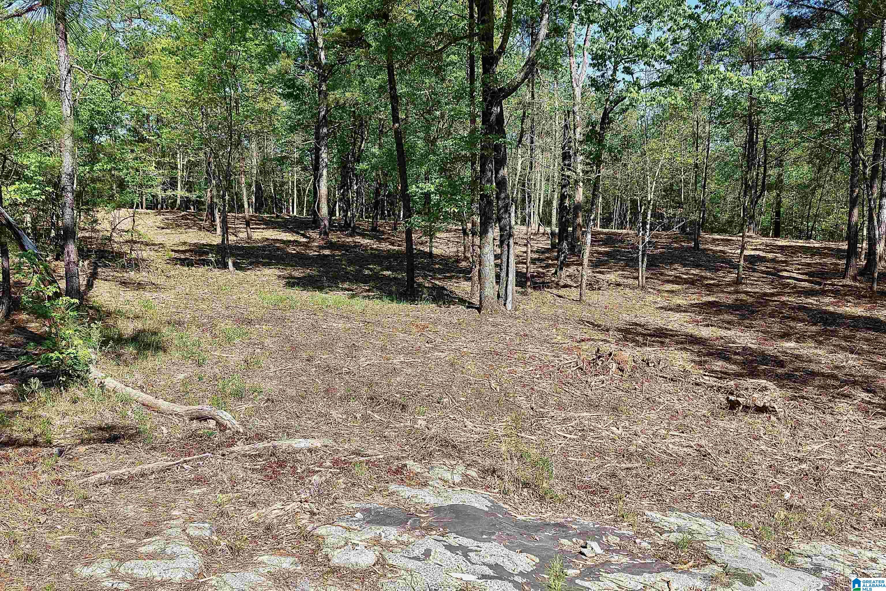 246 Spring Water Farms, Unit 2 Helena, AL 35022 - Photo 11 of 25