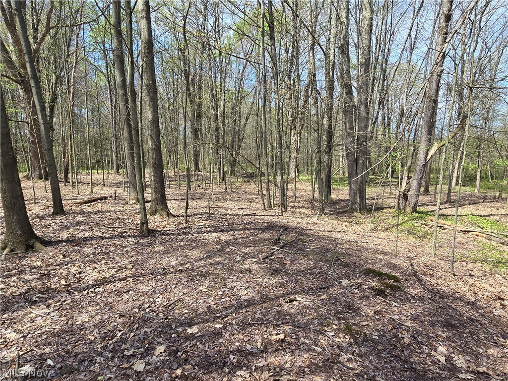 Tische Road Jefferson, OH 44047 - Photo 3 of 21