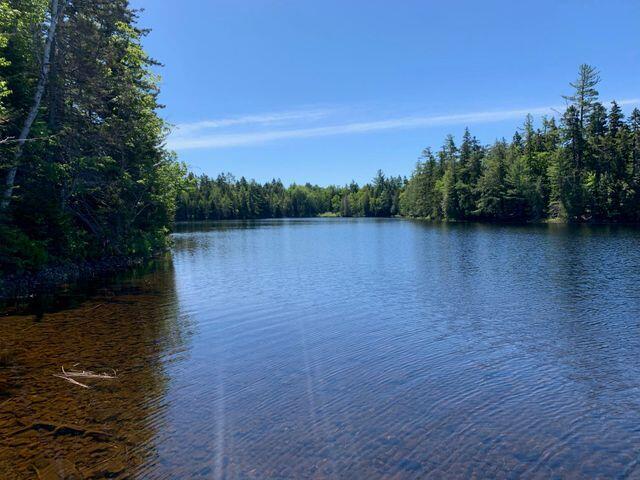 920 Goulding Lake Road Robbinston, ME 04671 - Photo 64 of 70 34