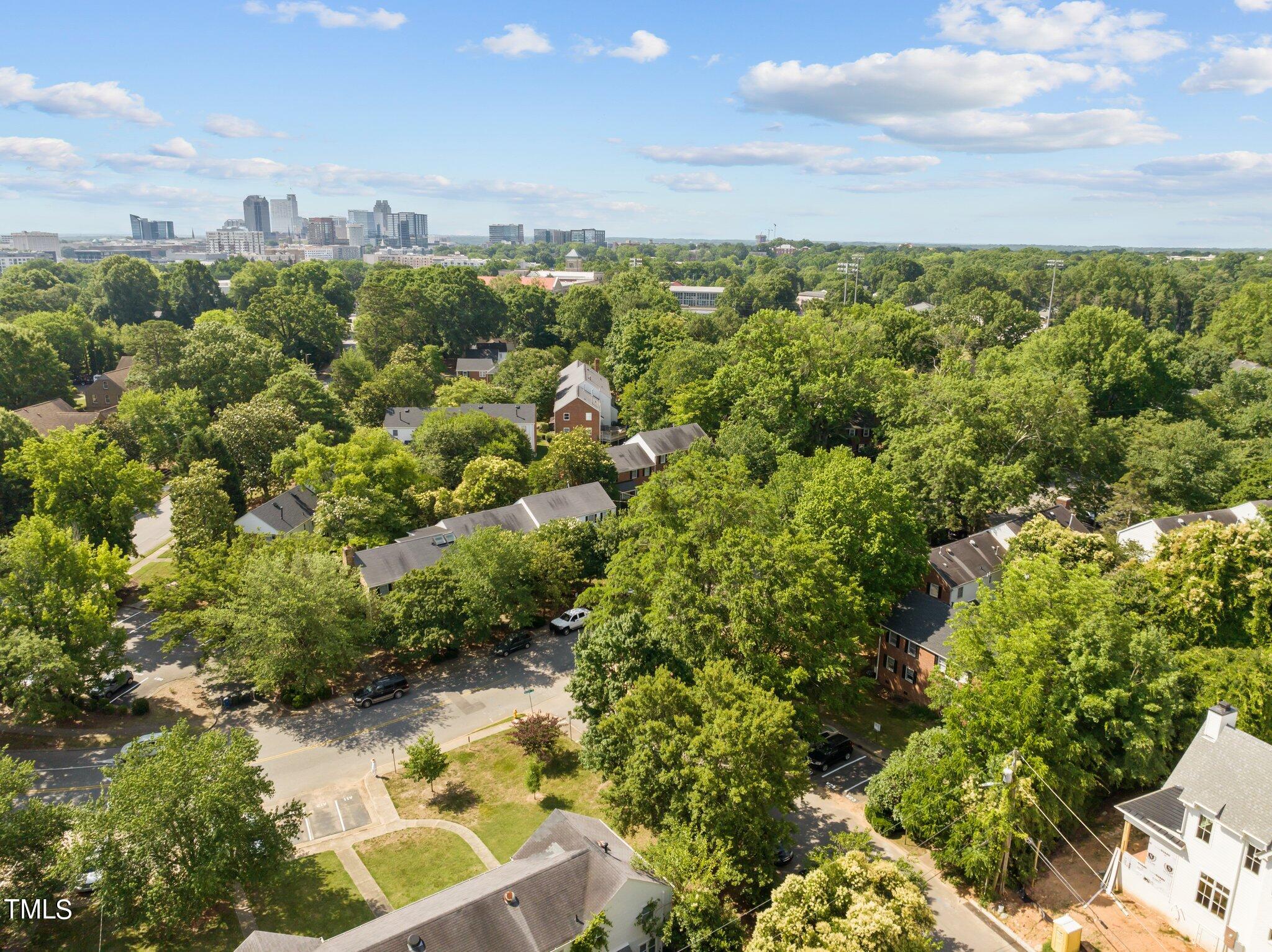 705 Bryan Street Raleigh, NC 27605 - Photo 39 of 42 37-web-or-mls-DJI_0969