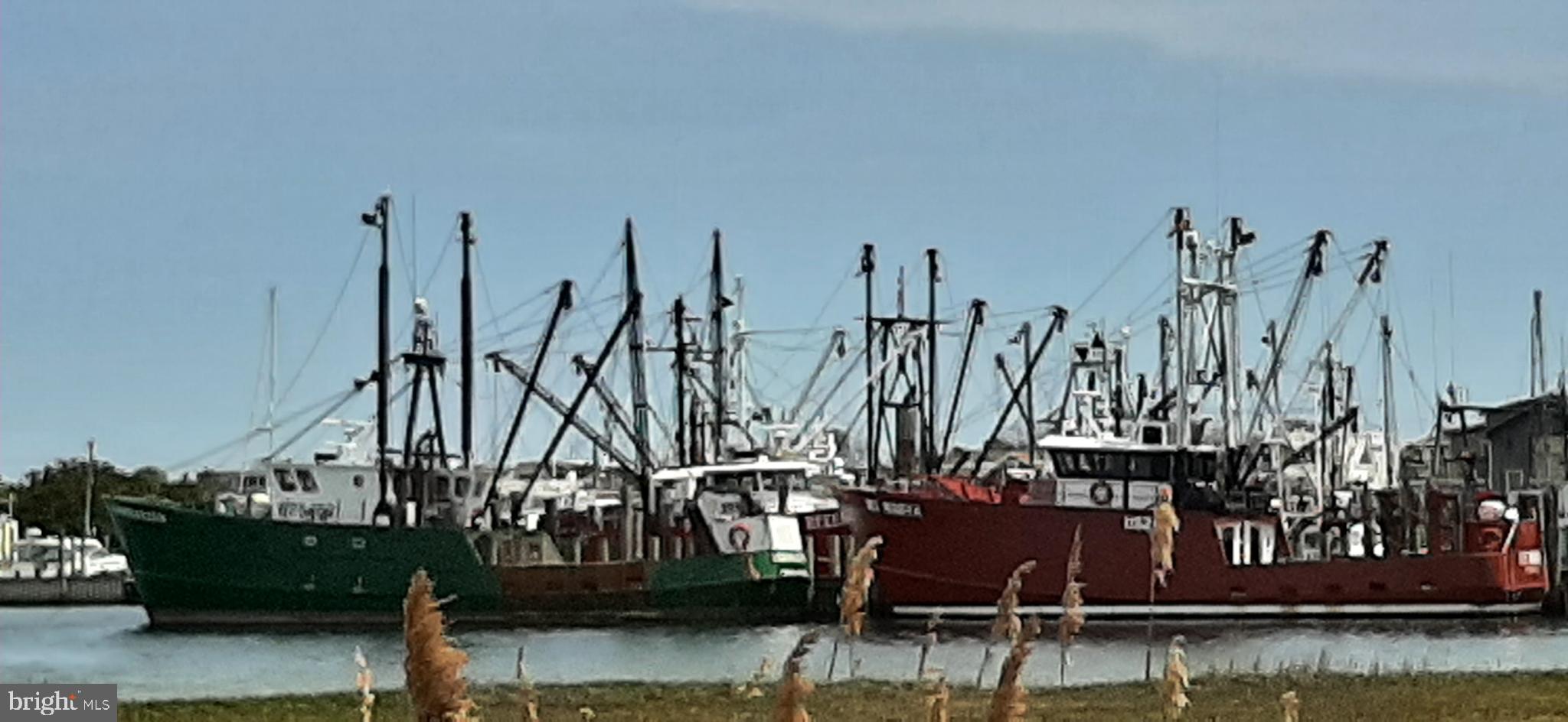 9 Adrian Road Long Beach Township, NJ 08006 - Photo 45 of 45 Fishing Fleet