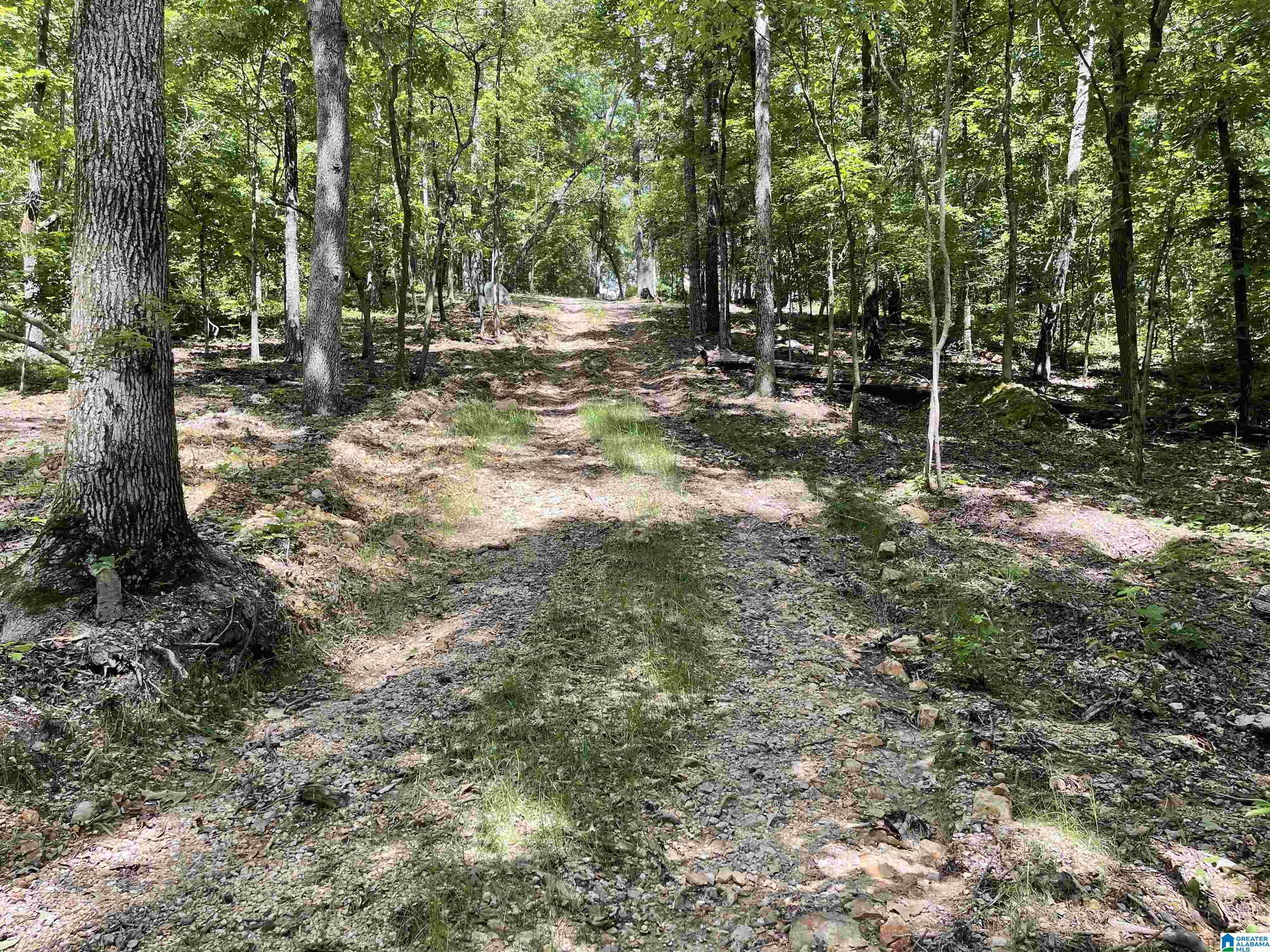 84 Rustic Drive, Unit 2 Harpersville, AL 35078 - Photo 12 of 23