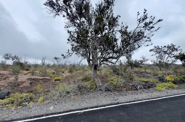 $13,000 | 28 Lei Parkway, Ocean View, HI 96704