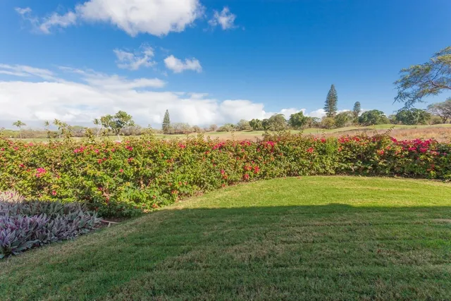 a view of a patio with table and chairs potted plants and floor to ceiling window