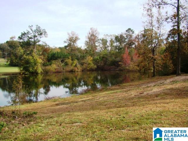11877 Highway 431 Ohatchee, AL 36271 - Photo 2 of 32