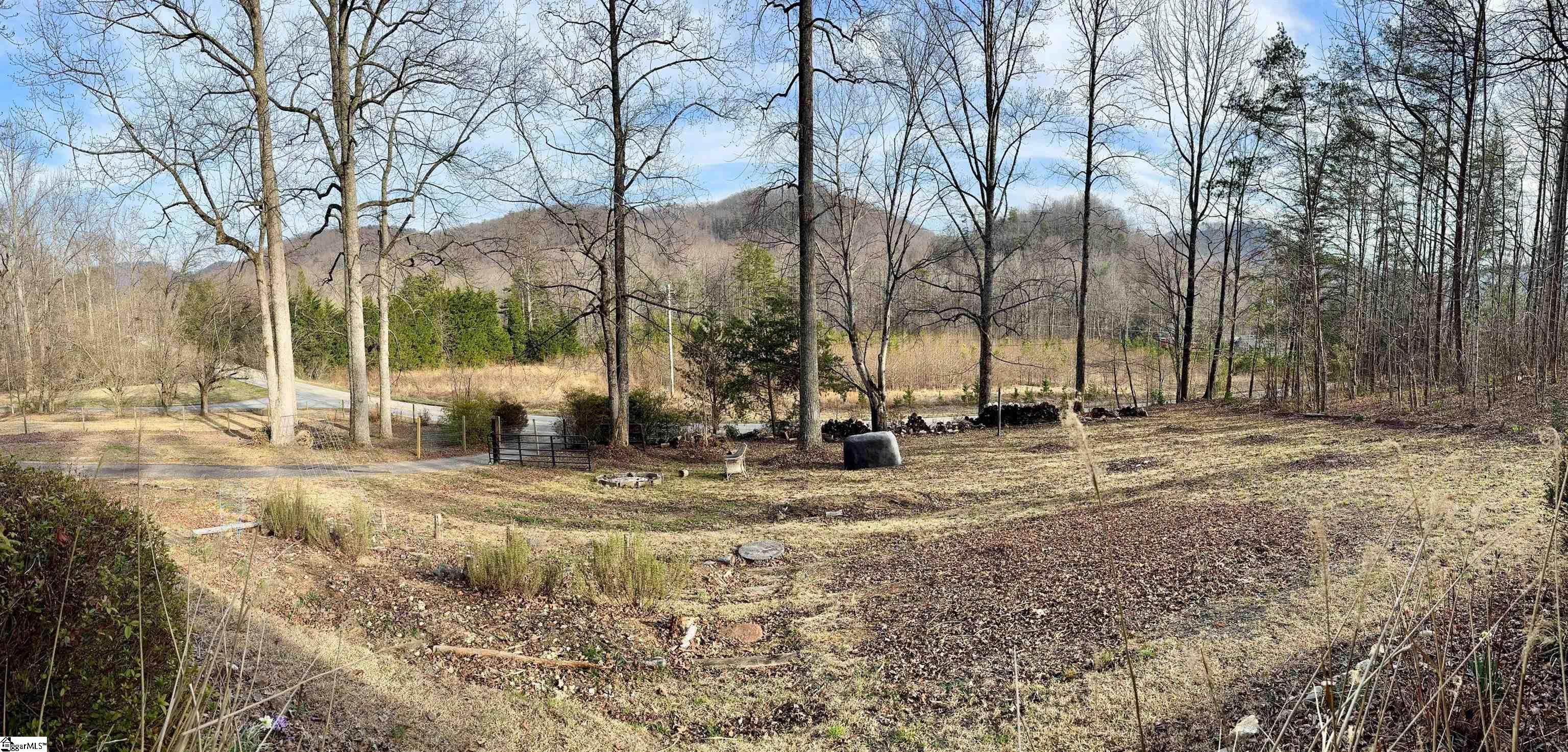 741 Gap Creek Road Marietta, SC 29661 - Photo 8 of 34