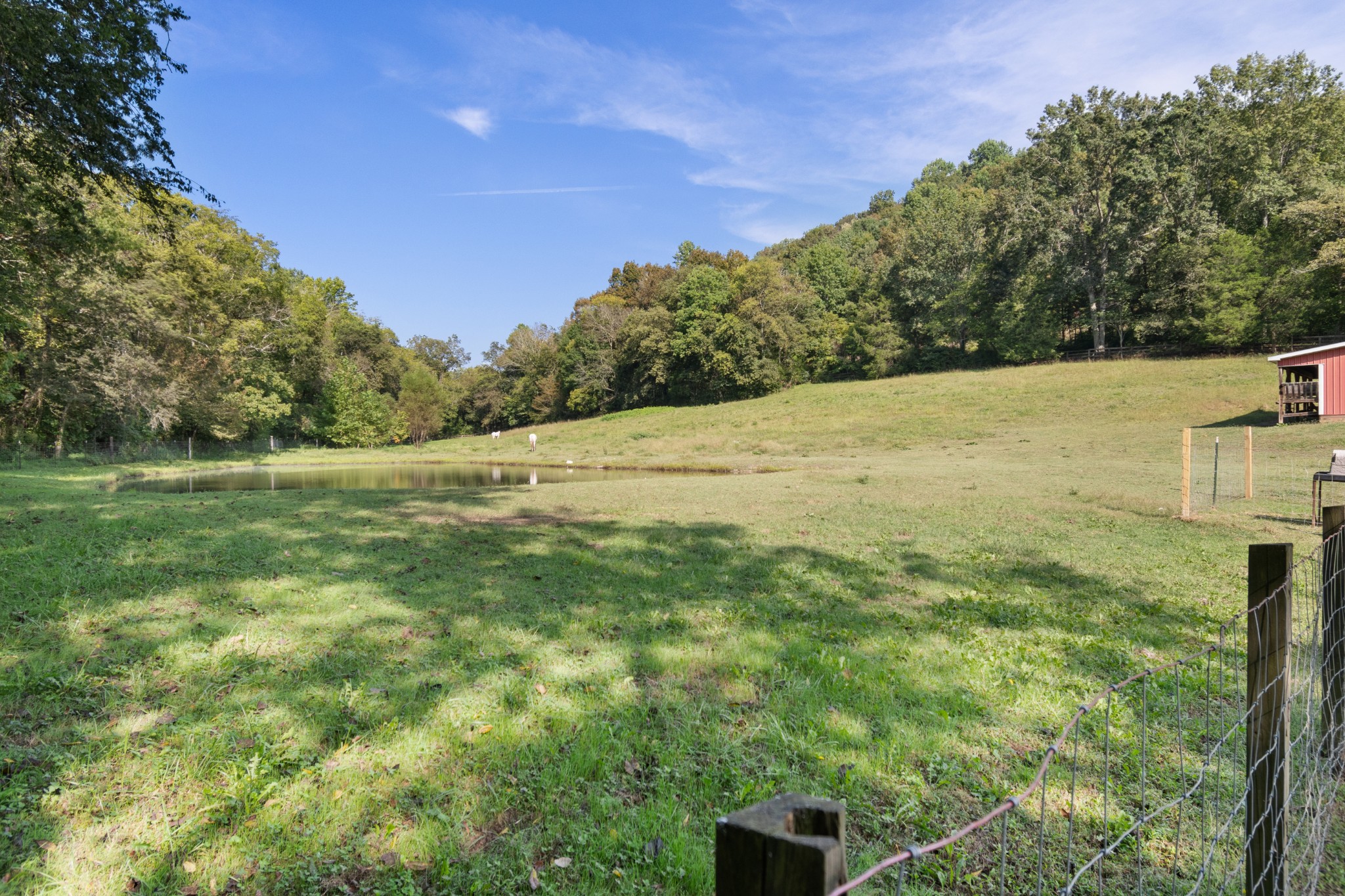 2600 Creecy Hollow Road Pulaski, TN 38478 - Photo 31 of 47 a view of a field with an trees
