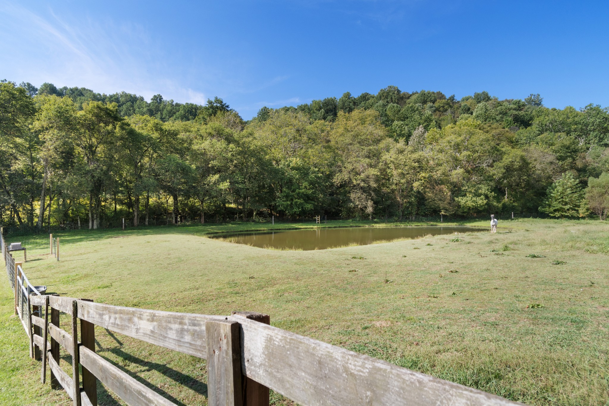 2600 Creecy Hollow Road Pulaski, TN 38478 - Photo 34 of 47 a view of a lake with a yard