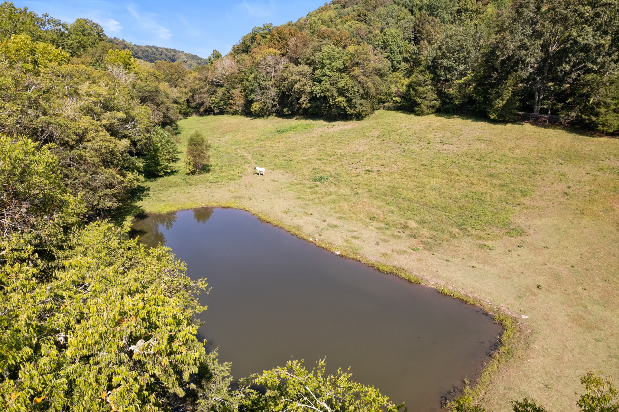 2600 Creecy Hollow Road Pulaski, TN 38478 - Photo 44 of 47 a view of ocean