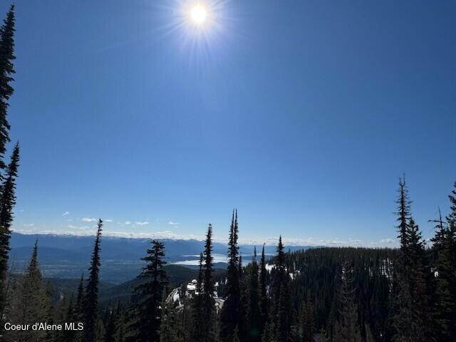 Nna Tall Timber Road Sandpoint, ID 83864 - Photo 10 of 10 3