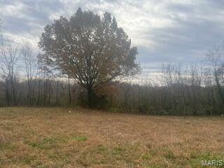 601 East 3rd Street Mountain View, MO 65548 - Photo 3 of 6