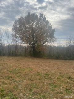 601 East 3rd Street Mountain View, MO 65548 - Photo 5 of 6