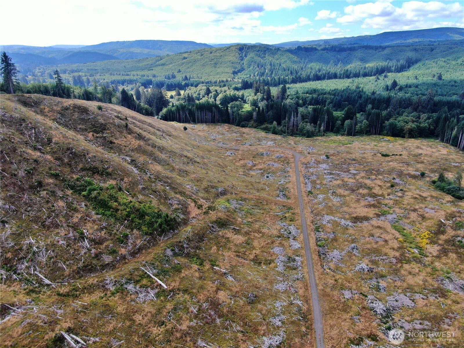 -nka North River Road Cosmopolis, WA 98537 - Photo 5 of 16 Gallery Image 5