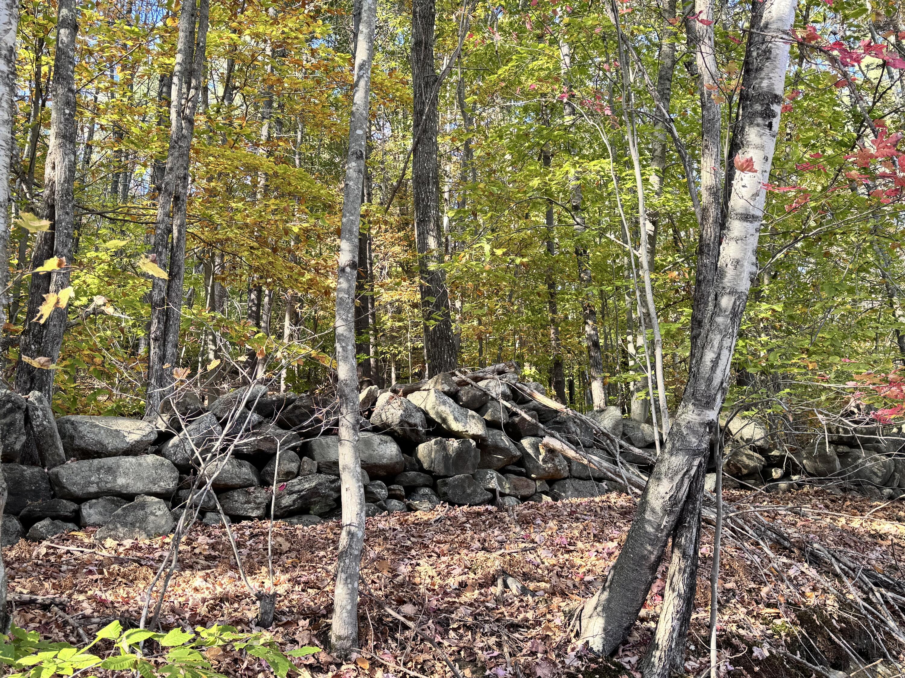 147 Mitchell Brook Road Temple, ME 04984 - Photo 60 of 67 rock wall