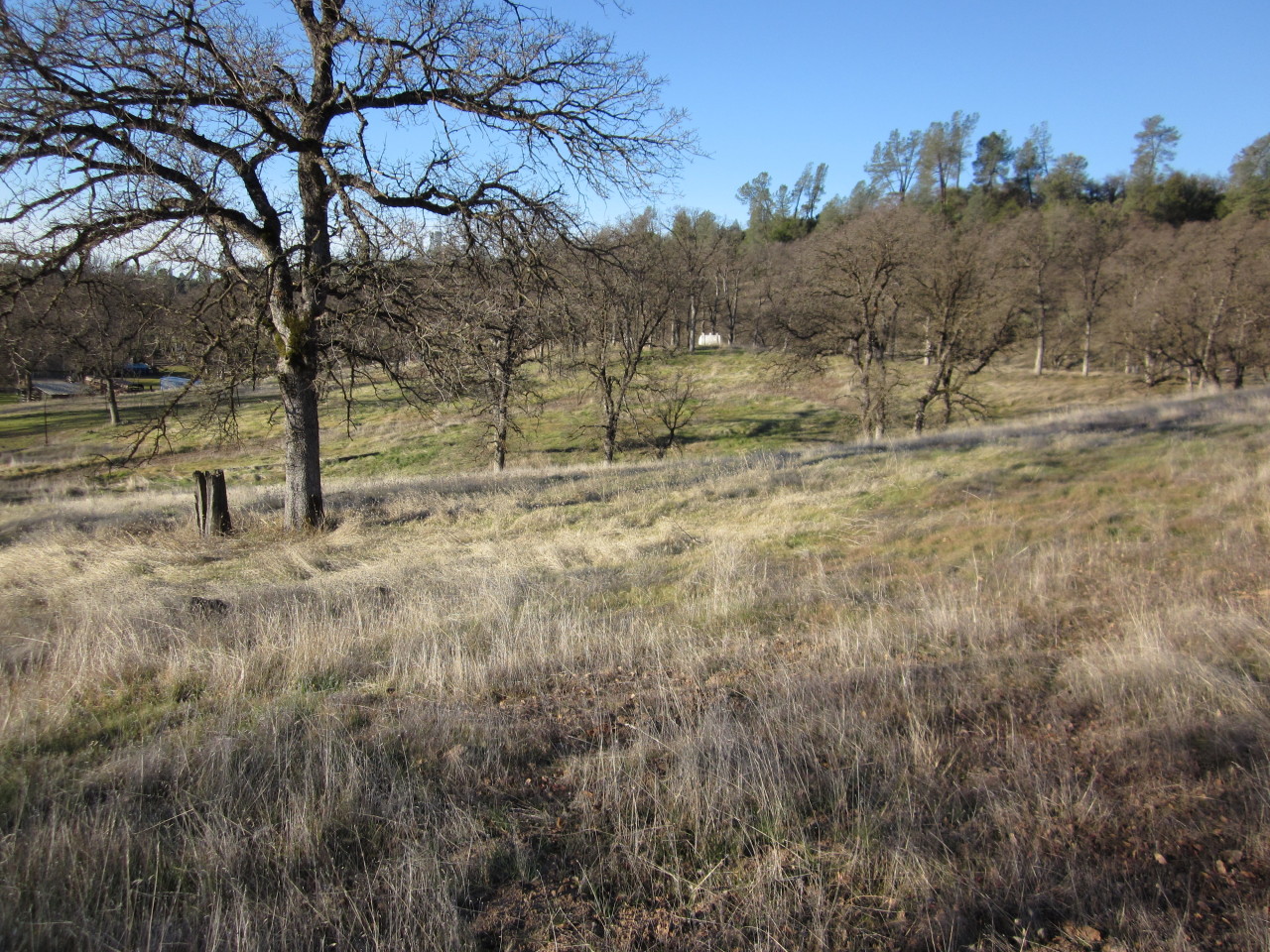 10504 Oak Run Road Oak Run, CA 96069 - Photo 8 of 8 Property