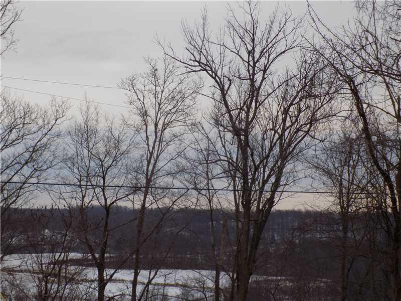 833 County Road Loyalhanna, PA 15681 - Photo 2 of 4 Land.