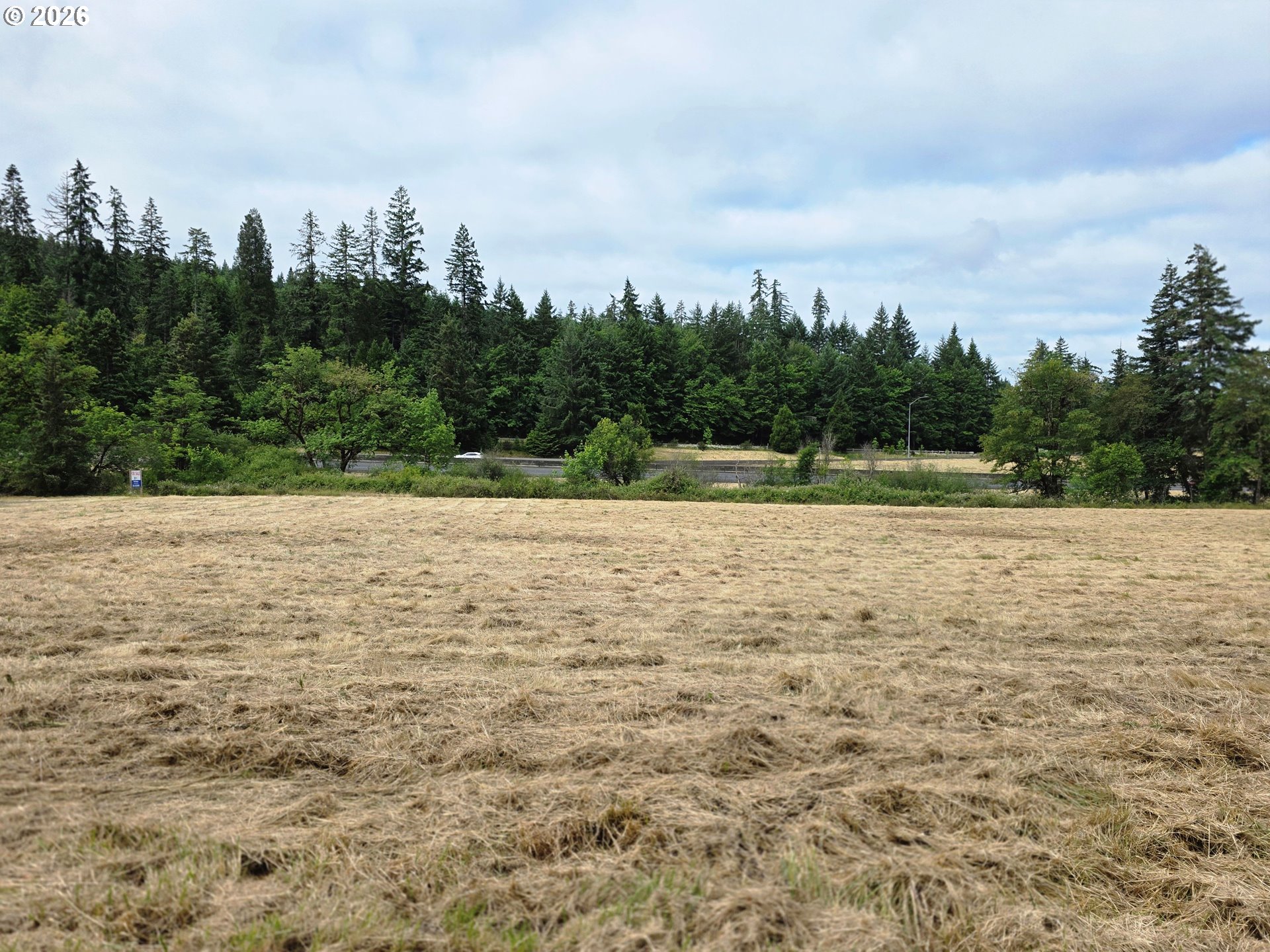 920 Buck Creek Road Drain, OR 97435 - Photo 9 of 18