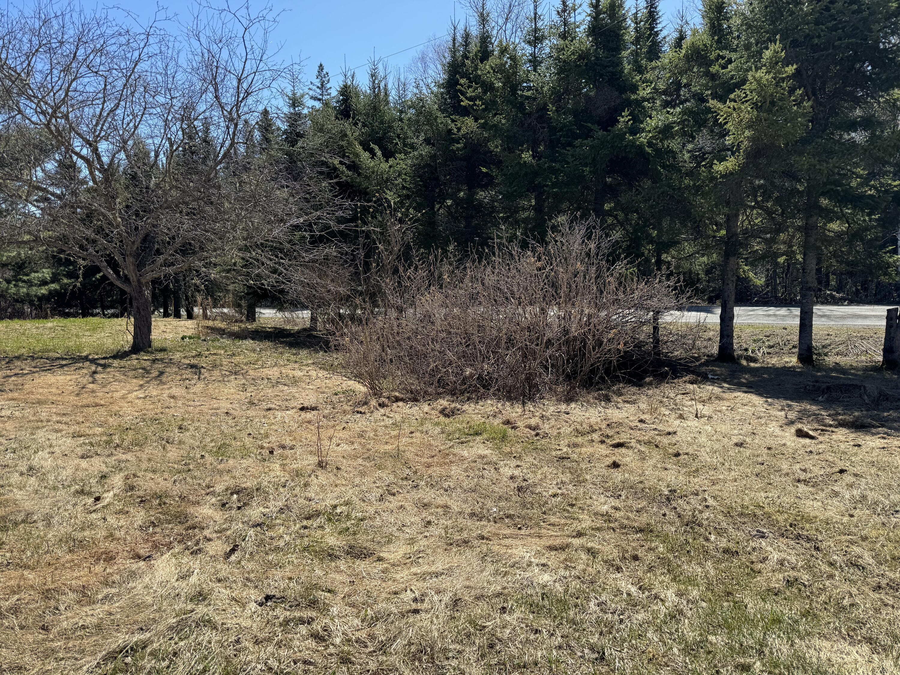964 Tangle Ridge Road Perham, ME 04766 - Photo 4 of 18 IMG_2265