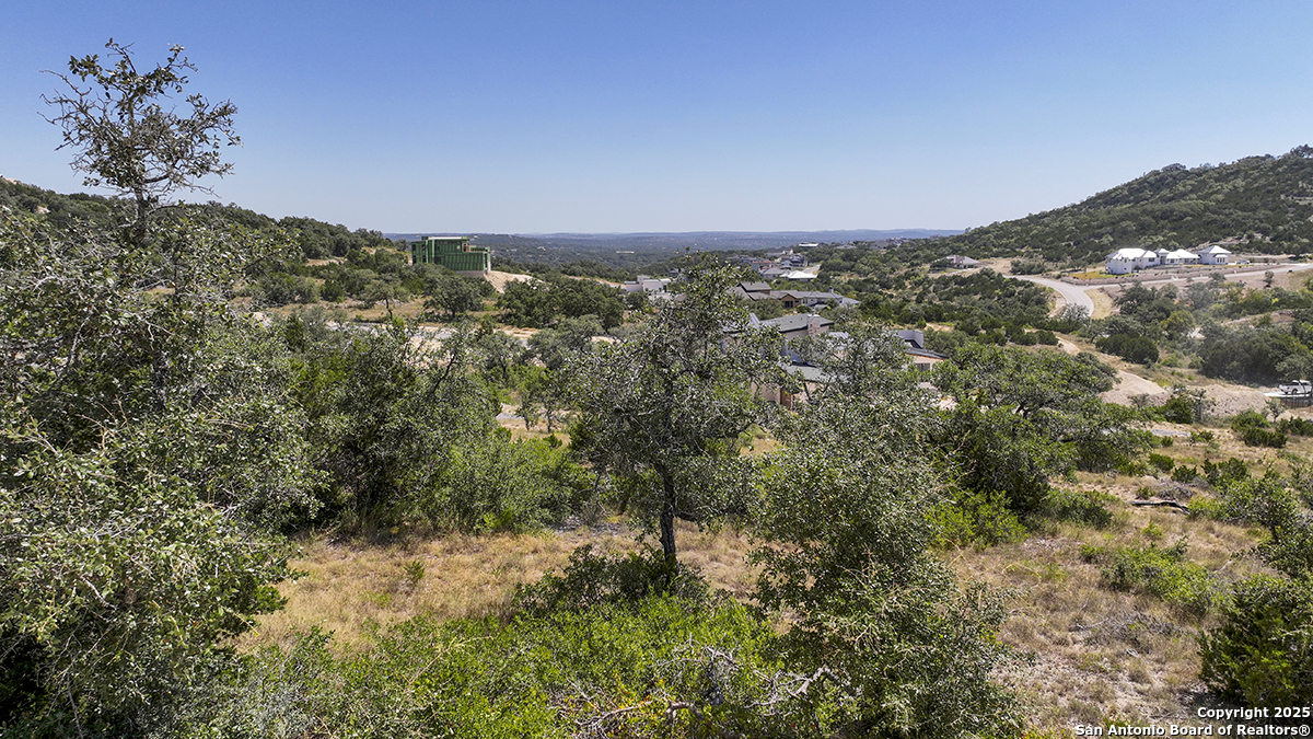 23328 Ebner Ridge San Antonio, TX 78255 - Photo 20 of 29 a view of a big yard with lots of bushes