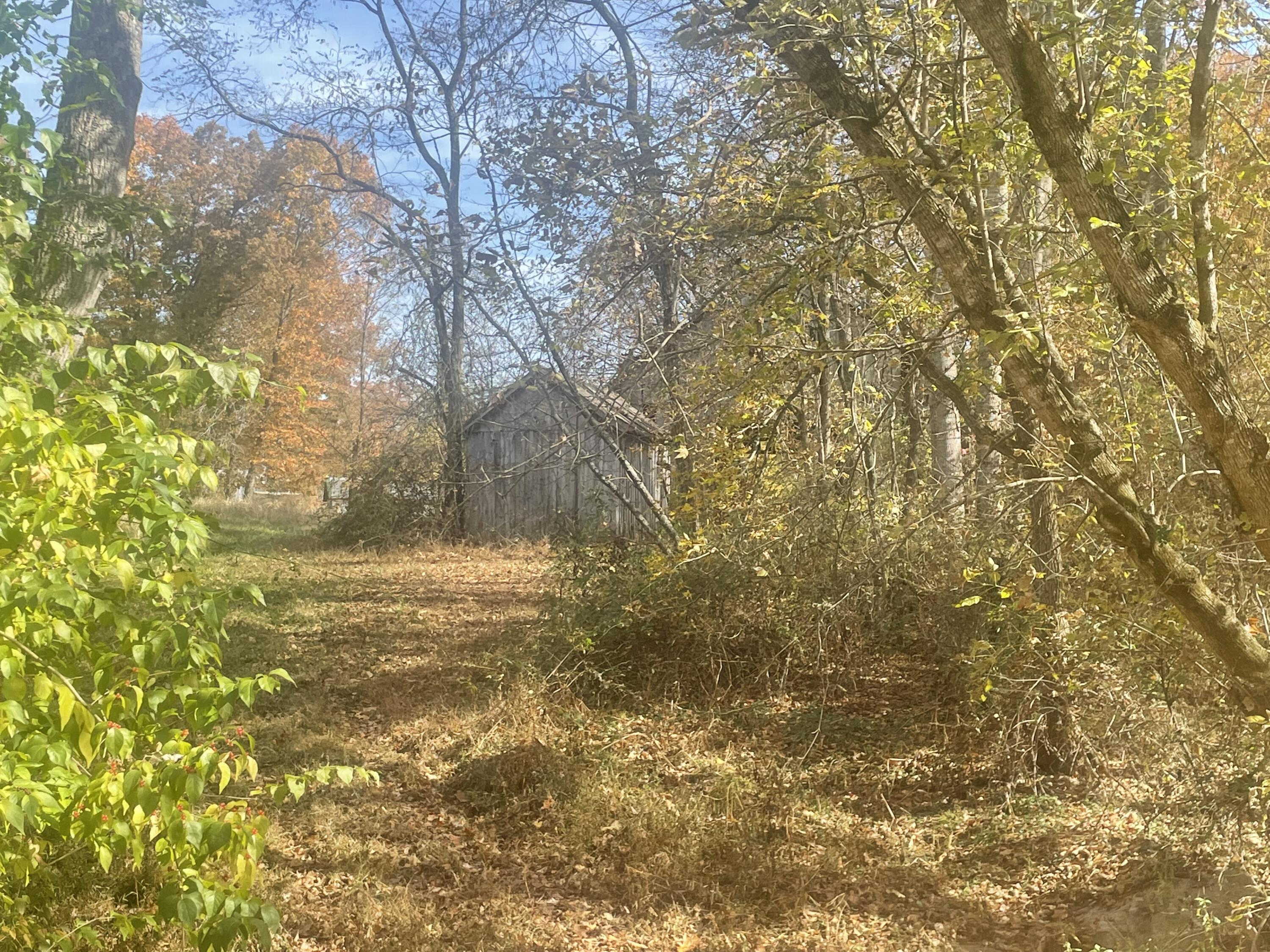843 Forge Mill Road Clay City, KY 40312 - Photo 3 of 20 IMG_2828