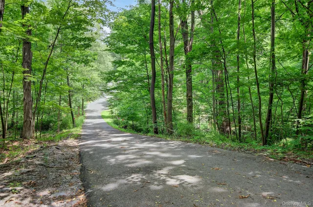 a view of a yard in front of house